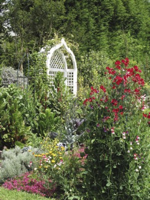 Spring colour for your garden
